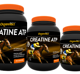 CREATINA ORGANNACT 2 KG -ATP-5913