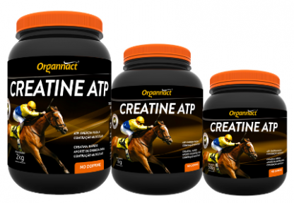 CREATINA ORGANNACT 2 KG -ATP-5913