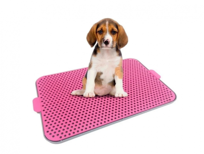 Tapete Higienico Cães Banheiro Canino Xixi Facil Dog Pipi-ROSA-1523,AZUL-5873